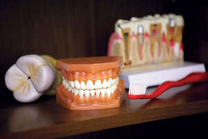 dentist-models