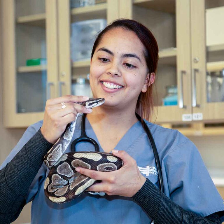 3 Benefits of Earning your Veterinary Assistant Certification