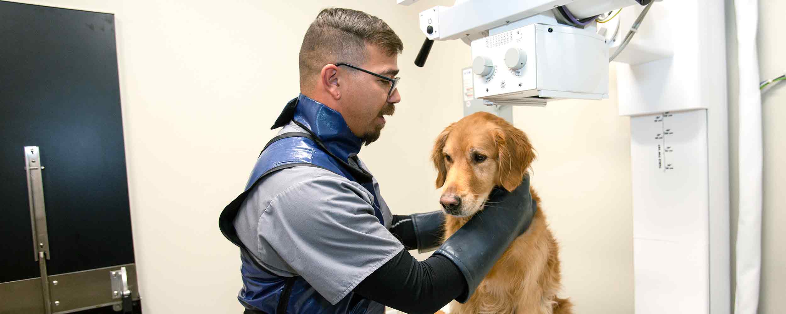 Veterinary Technician