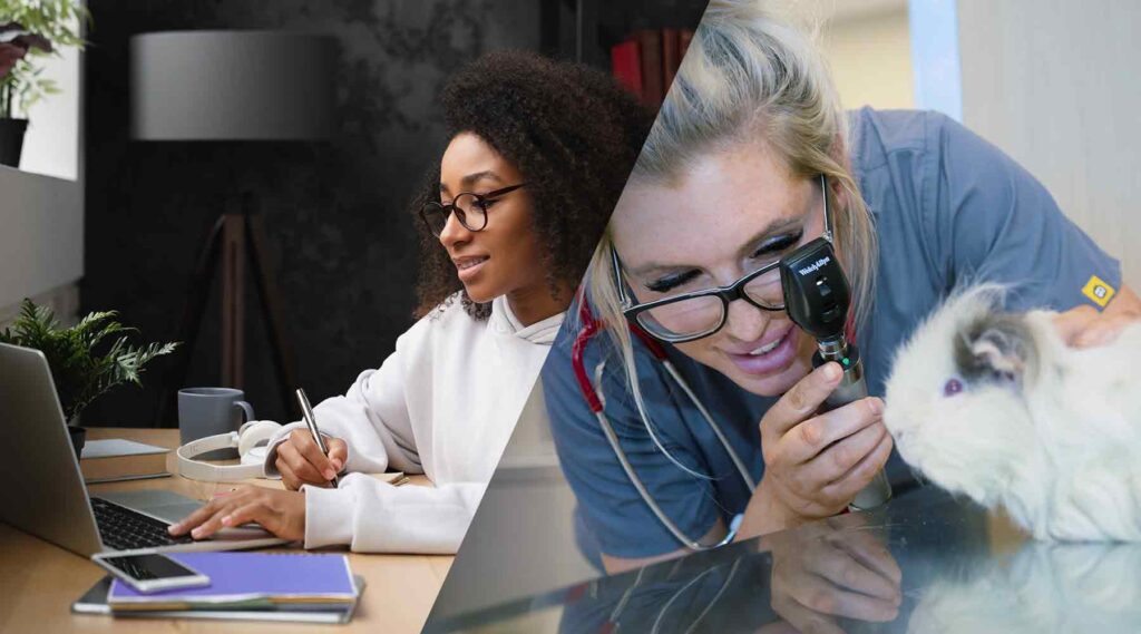 photos of student at home studying and Pima Medical veterinary assistant student examining a patient