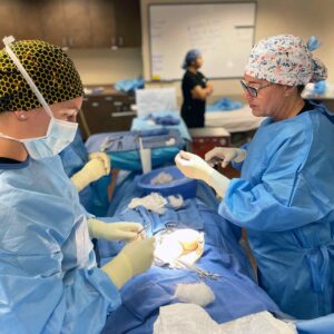 Surgical Technologist students perform mock surgery in lab with instructors.